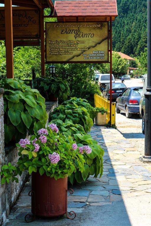 Hotel Elatofilito Athamanio Ngoại thất bức ảnh